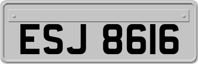 ESJ8616