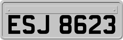 ESJ8623