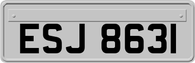 ESJ8631
