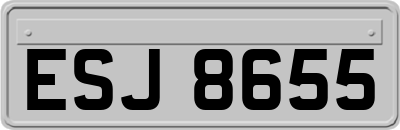 ESJ8655
