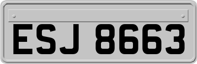 ESJ8663