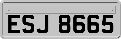 ESJ8665