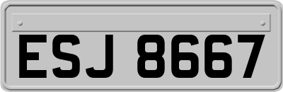 ESJ8667