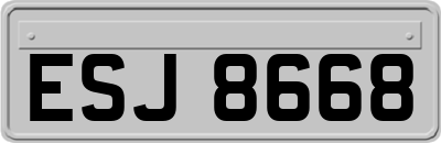 ESJ8668