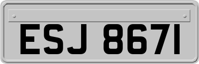 ESJ8671