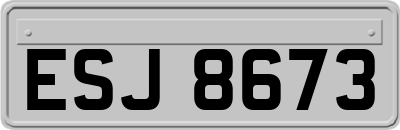ESJ8673