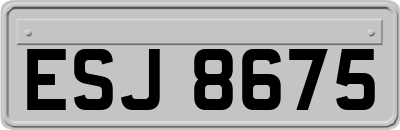 ESJ8675