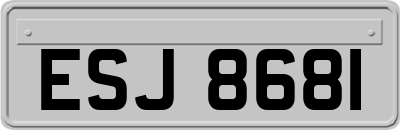 ESJ8681