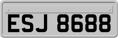 ESJ8688
