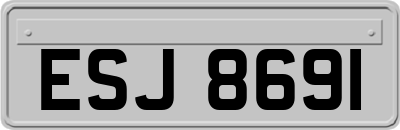 ESJ8691
