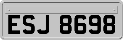 ESJ8698