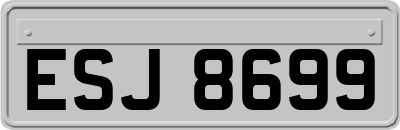 ESJ8699