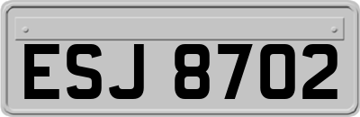 ESJ8702