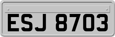 ESJ8703