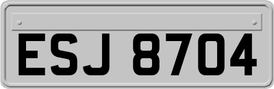 ESJ8704