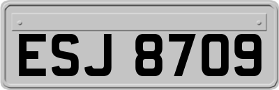 ESJ8709