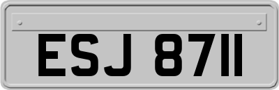 ESJ8711