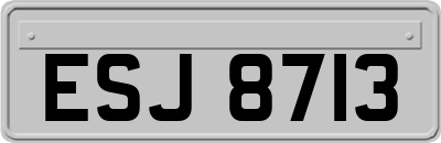 ESJ8713