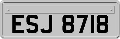 ESJ8718