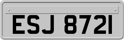 ESJ8721