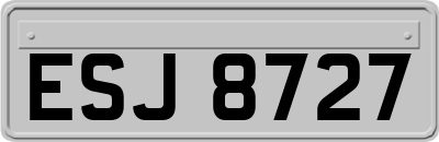 ESJ8727