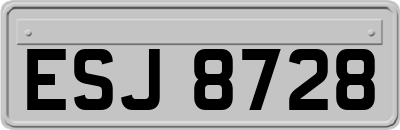 ESJ8728