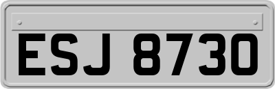 ESJ8730