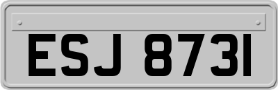 ESJ8731