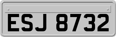 ESJ8732