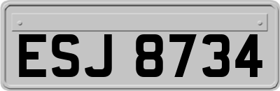 ESJ8734