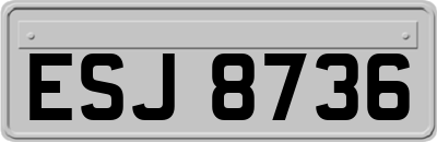 ESJ8736