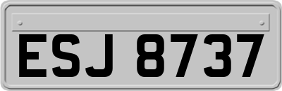 ESJ8737