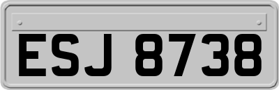 ESJ8738