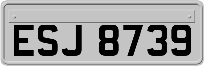 ESJ8739