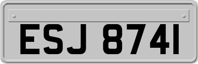 ESJ8741