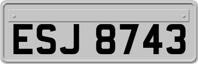 ESJ8743