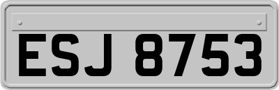 ESJ8753