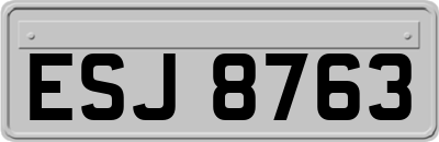 ESJ8763