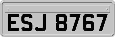 ESJ8767