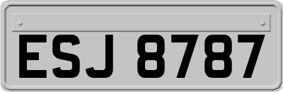 ESJ8787