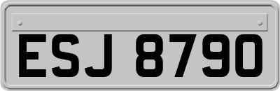 ESJ8790