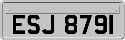 ESJ8791