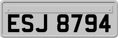 ESJ8794