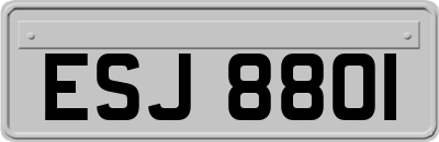 ESJ8801