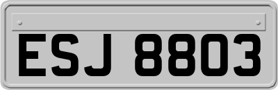 ESJ8803