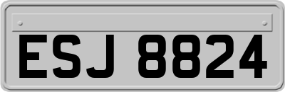 ESJ8824