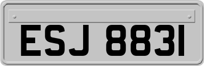 ESJ8831