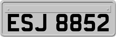 ESJ8852