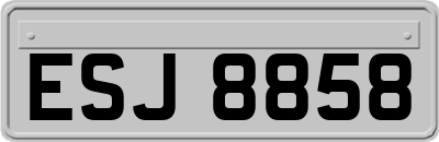 ESJ8858