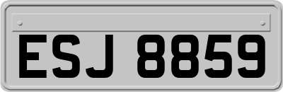 ESJ8859